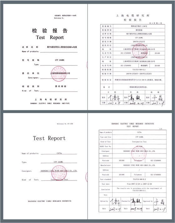 信基線纜檢測報告